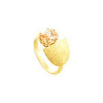 Lazyloaded Image