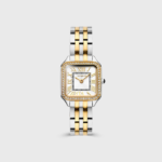 Lazyloaded Image