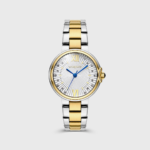 Lazyloaded Image